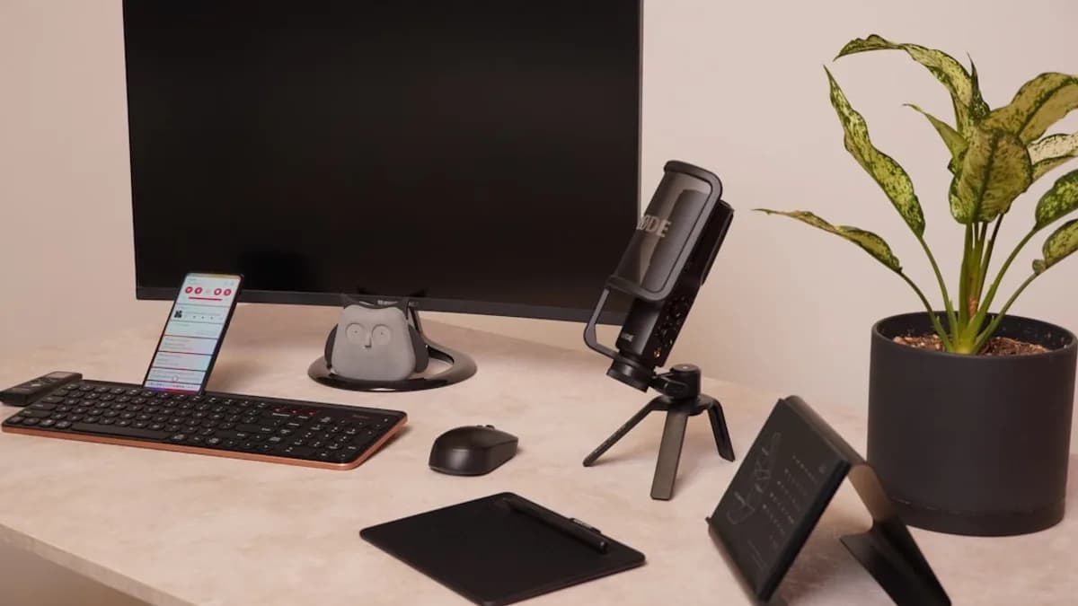 a desk with a computer and a plant